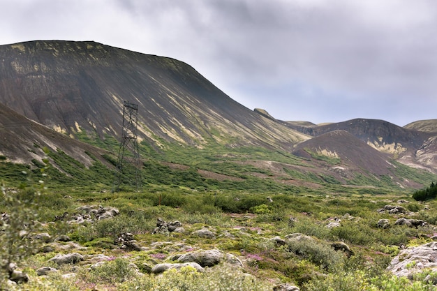 Iceland Nature in Summer