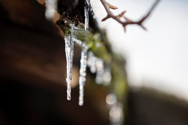 Icicles are dripping from the roof The arrival of spring Change of season