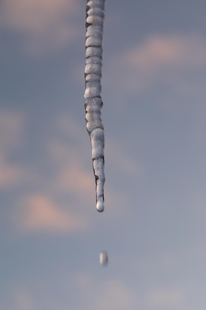 Icicles hanging from the edge of the roof dripping water