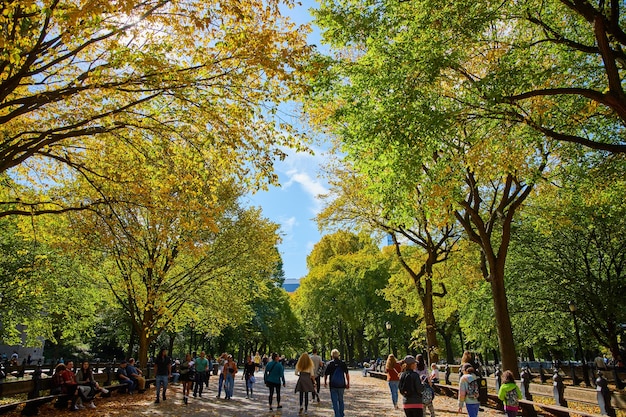 Iconic Central Park The Mall walkway in New York City in early fall