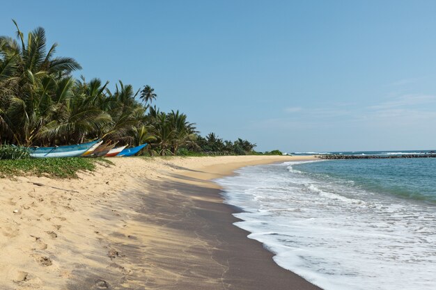 Idyllic beach. Sri Lanka