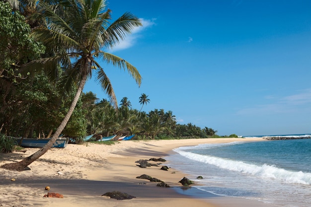 Idyllic beach Sri Lanka