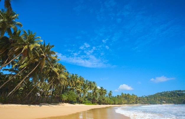 Idyllic beach Sri Lanka