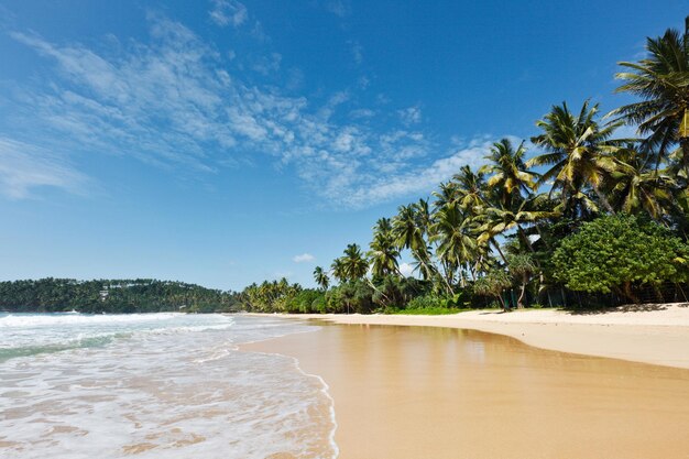 Idyllic beach Sri Lanka