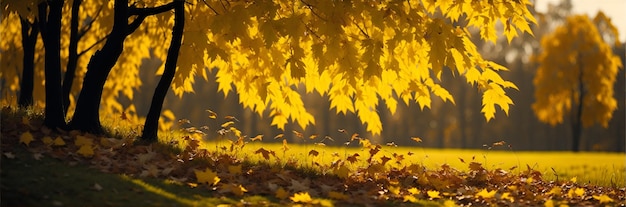 Idyllic fall leaf meadow background in sunshine Ai Generated