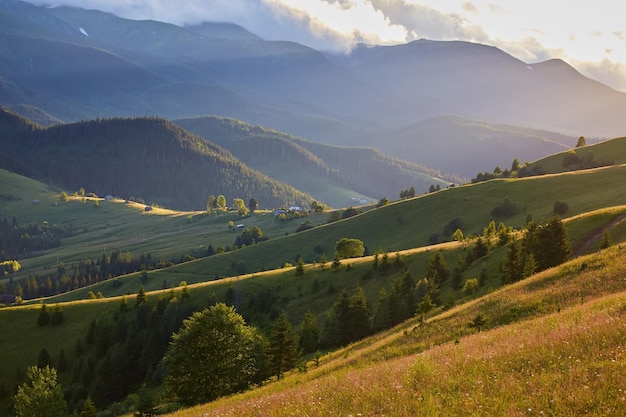 Idyllic landscape in the Alps with fresh green meadows and blooming flowers