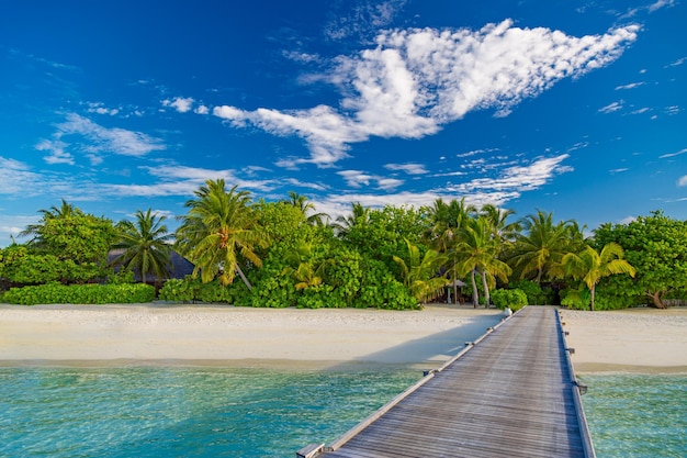 Idyllic tropical beach landscape for background or wallpaper. Design of tourism for summer vacation