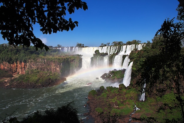 Iguazu falls in Argentina and Brazil