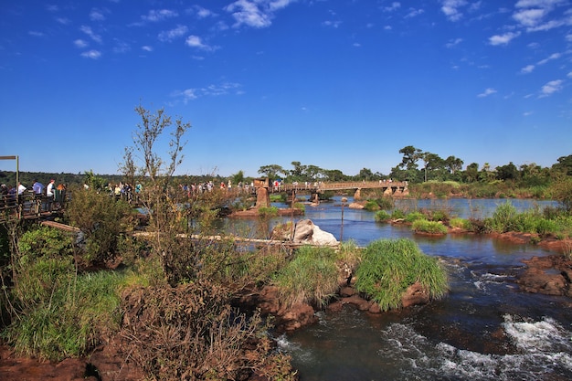 Iguazu falls in Argentina and Brazil