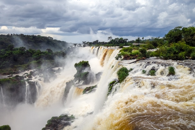 Iguazu falls national park. tropical waterfalls and rainforest landscape