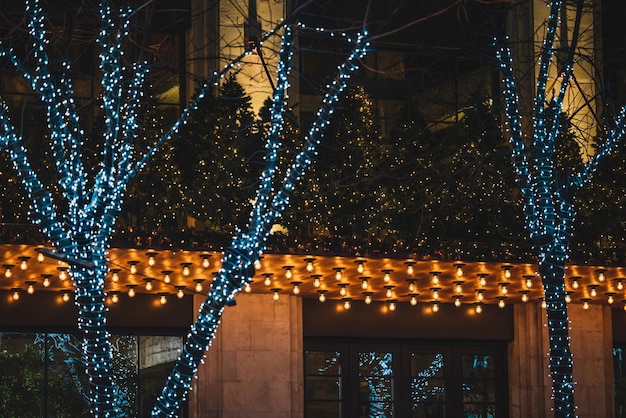 Illuminated Christmas decorations in the street