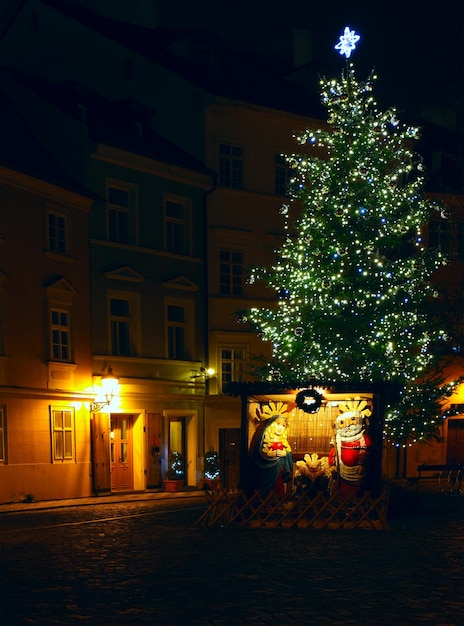 Illuminated christmas tree with christmas crib on a night street of old town