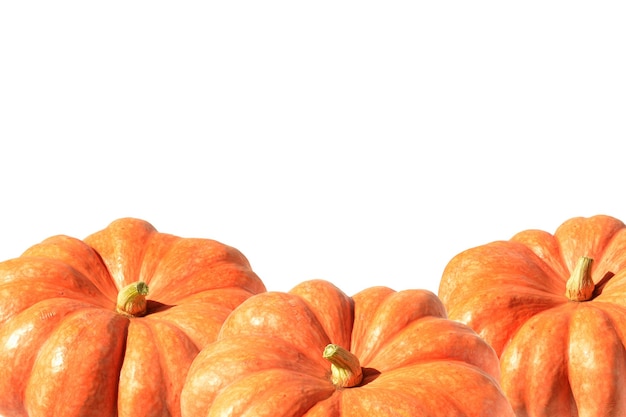 illustration of 3 ripe strawberry pumpkins on white background