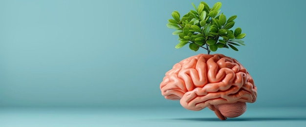 Photo illustration of a brain with a tree symbolizing learning and growth mindset