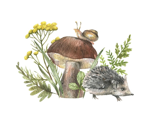 Illustration of mushrooms,grass,flowers,berries and a cute hedgehog.Forest composition hand-drawn.