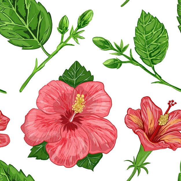 Illustration of a seamless pattern of hibiscus plants flowers and leaves of a plant on a background