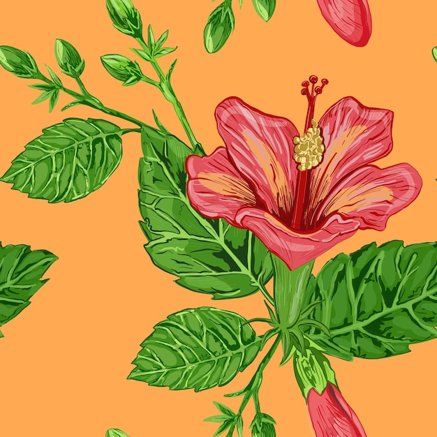 Illustration of a seamless pattern of hibiscus plants flowers and leaves of a plant on a background