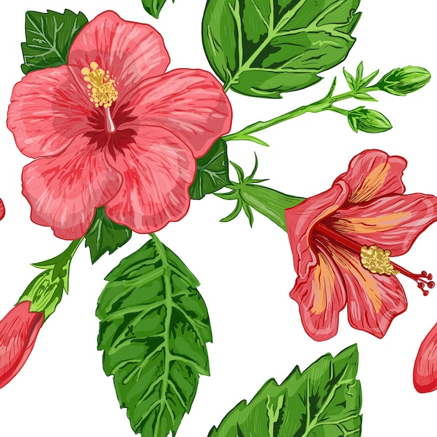 Illustration of a seamless pattern of hibiscus plants flowers and leaves of a plant on a background