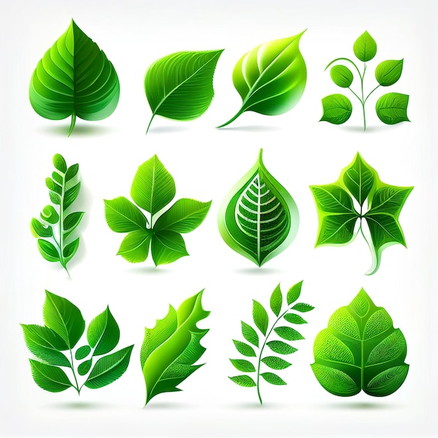 Illustration set of leafs with margins for graphic design created with Generative AI technology