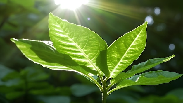 Illustration of a young juicy green leaf with water drops Macro bokeh sunlightAI