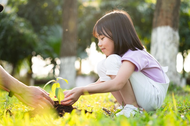 Image Asian little girl holding a sapling in her hand