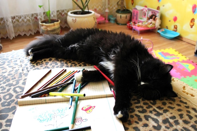 Image of black tired cat lying on the sofa after drawing