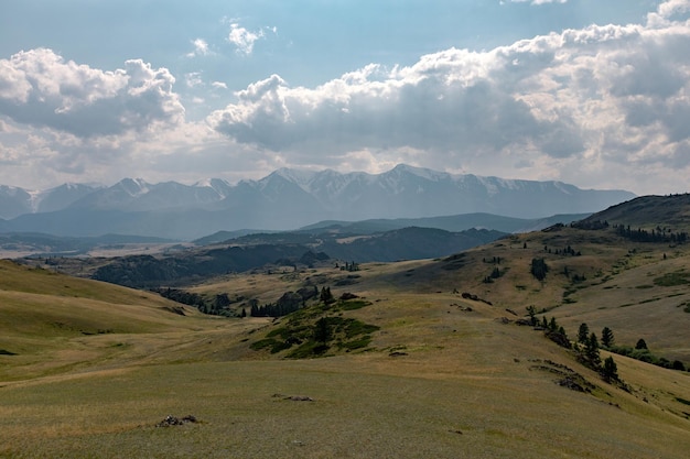 An image of a bright and picturesque forest valley with a green grassy lawn with many trees on it. Background of huge high rocky mountains under a blue cloudy sky. Fascinating nature.