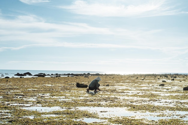 Image of fisherman catching snails on the beach