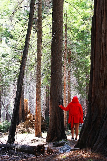 Image of a forest in which there is a woman with a red jacket leaning against a tree with her back