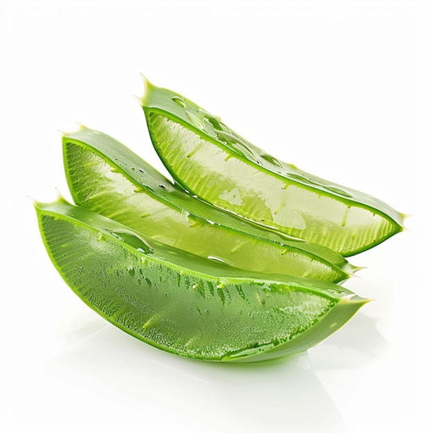 Image of fresh green Aloe Vera leaves