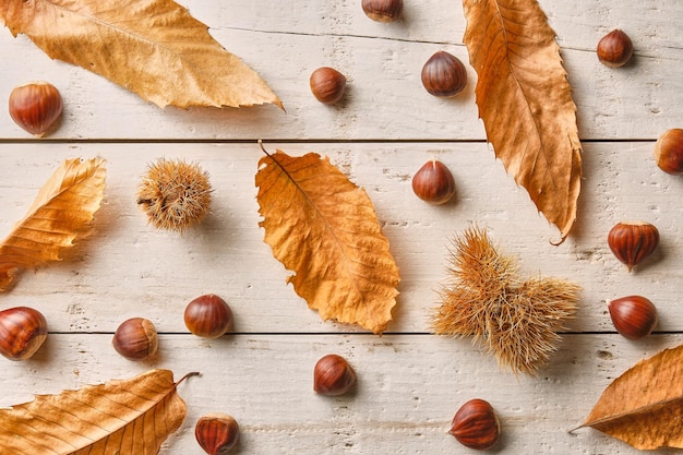 Image from above of a composition of chestnuts with dry chestnut leaves on a white rustic table