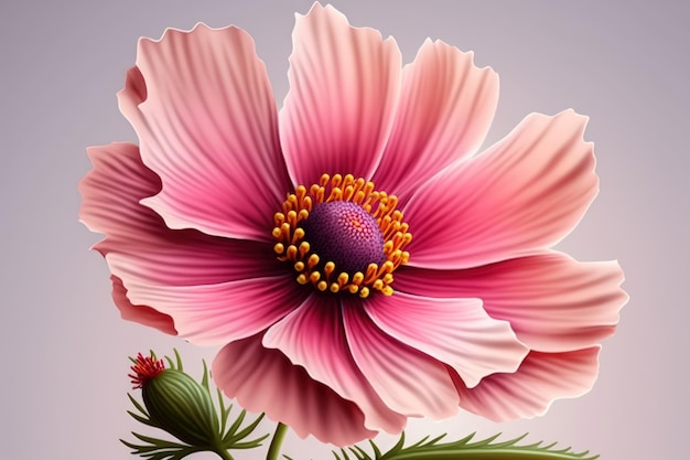 Image of a gorgeous pink flower in close up