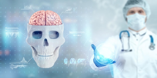 Image of a human skull and brain on no light background