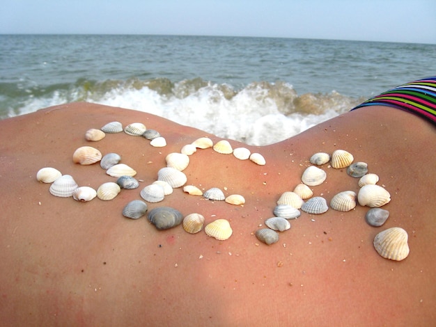 Image of inscription from cockleshells on the body of the girl