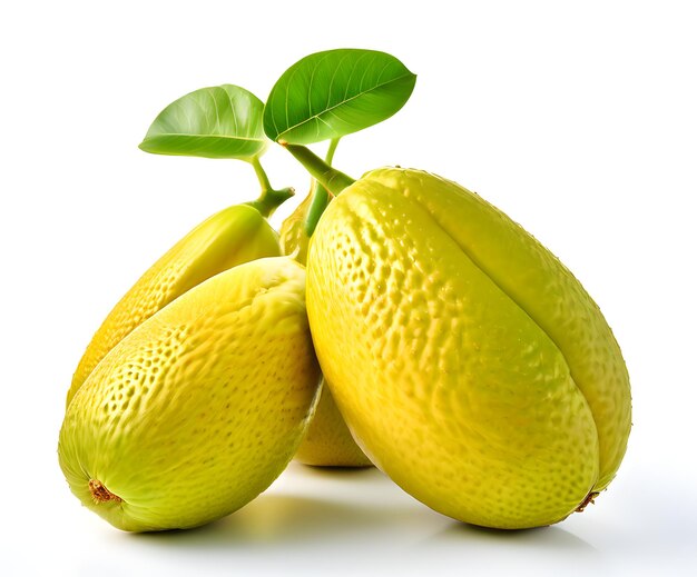 Image of jackfruits with leaf isolated on white background