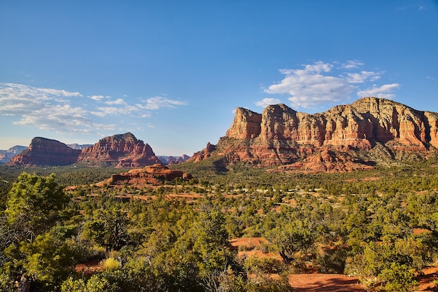 Image of Landscape with trees in the foreground and Bell Rock in the background against a blue sky