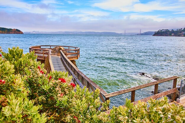 Image of Large bush with red flowers beside Elephant Rock and Golden Gate Bridge across bay