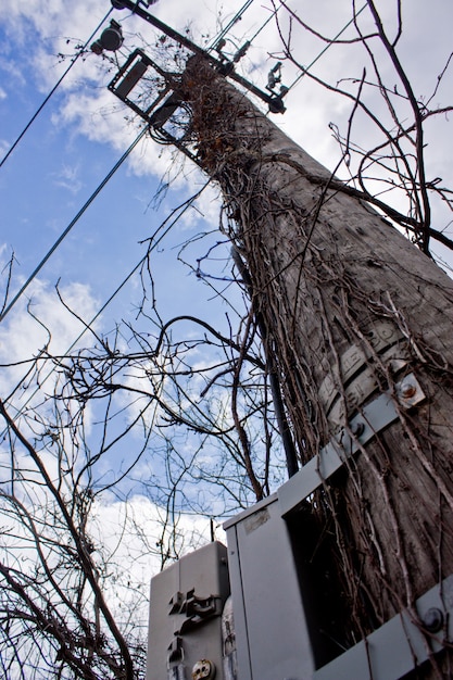 Image of Large telephone pole with metal box against cloudy sky