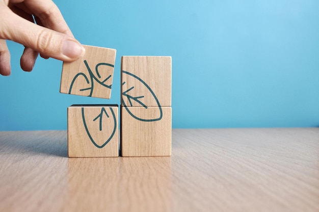 The image of lungs on wooden cubes A symbol of the treatment of lung diseases