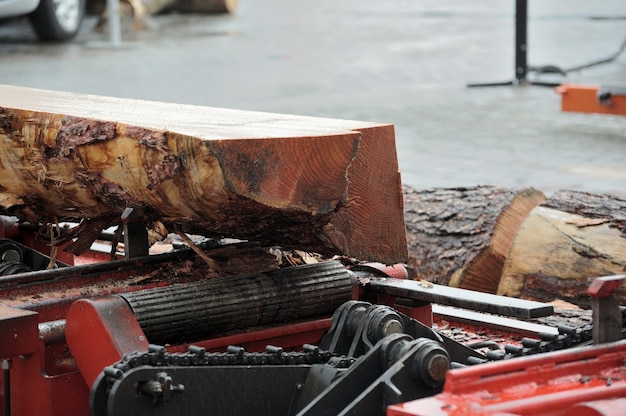 Image of machine for sawing wood at sawmill