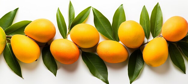 image of mango with leaves on white background mango advertisement