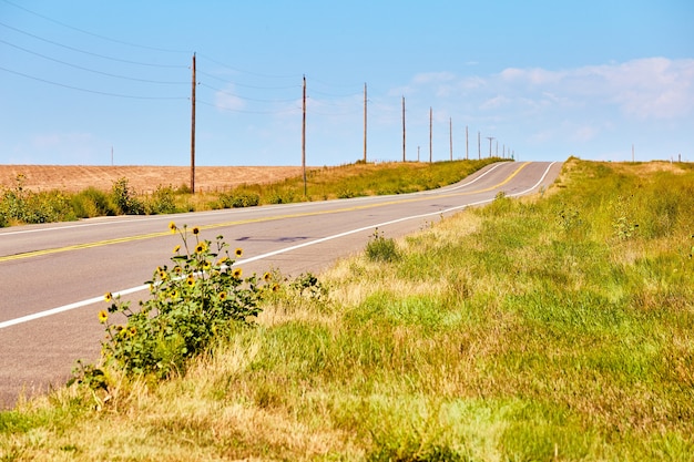 Image of Open desert country road with telephone poles and yellow flowers