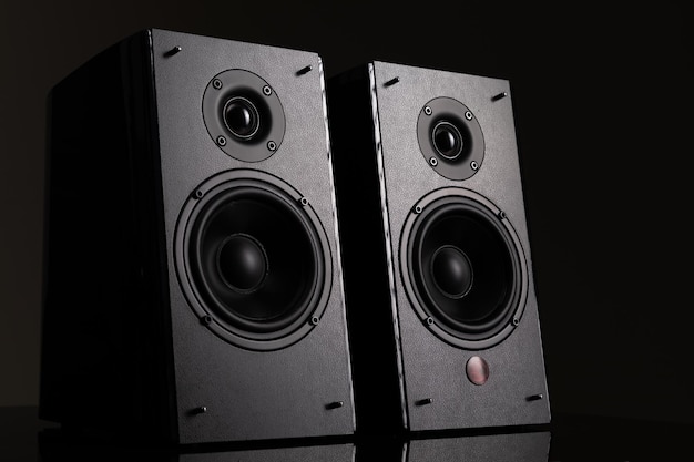 An image photograph of a pair of hifi level music speakers with two speakers on a black background