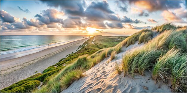 Photo the image showcases a panoramic view of a dune beach