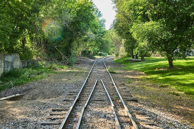 Image of Simple railroad tracks through the woods