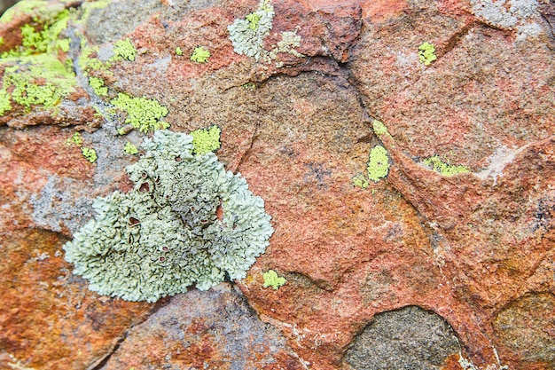 Image of Texture detail of red rock surface covered in patches of lichen