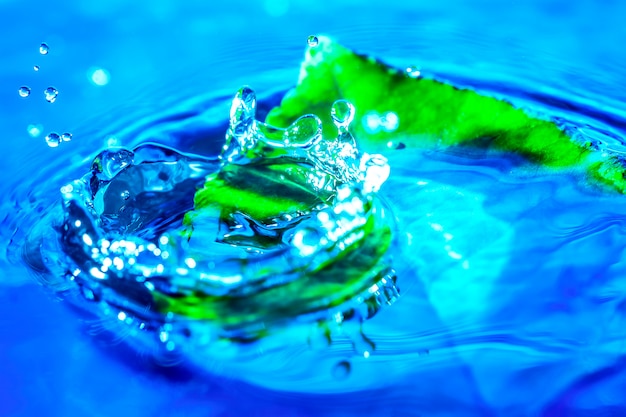 Image of water drop splash near the green leaf in water.