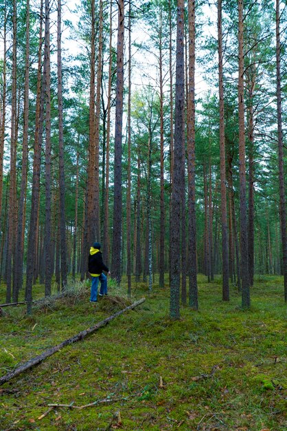 Image of a woman in a casual outfit walking through a pine forest the scene captures a moment of