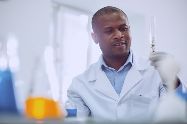 Important task. Inspired afro-american scientist doing a test while working in the lab