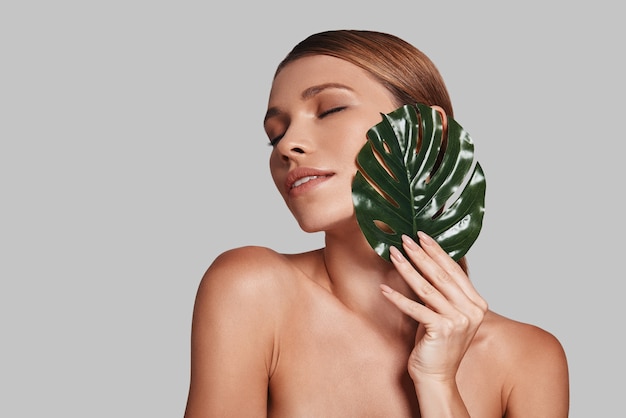 Impossible to resist her beauty. Attractive young woman keeping eyes closed and covering with leaf while standing against grey background